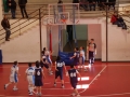 0910_Athletic-Volla 91-15_26