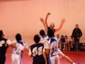 0910_Athletic-Volla 91-15_44